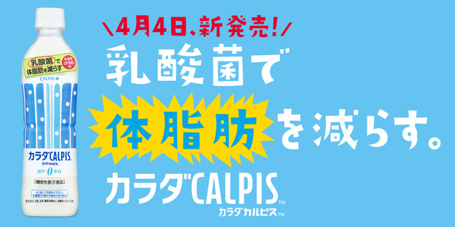 カルピス